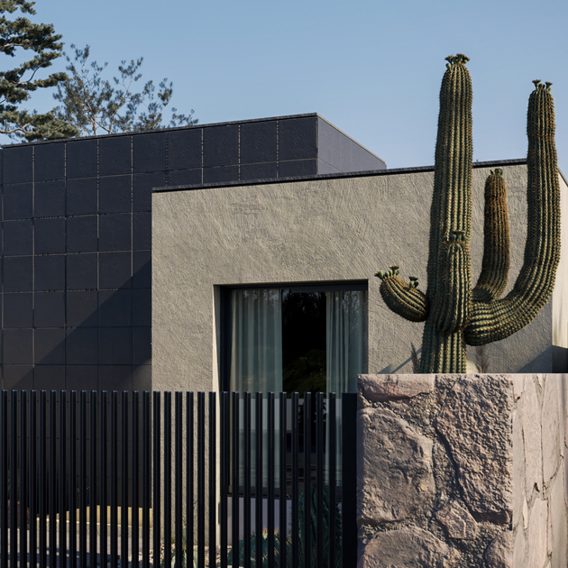 wc-planos-casas-render-cactus- (3)